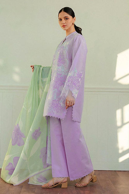 Zara Shahjahan D # 84 - 01 | 3PC Luxury Dhanak | Dhanak Shawl