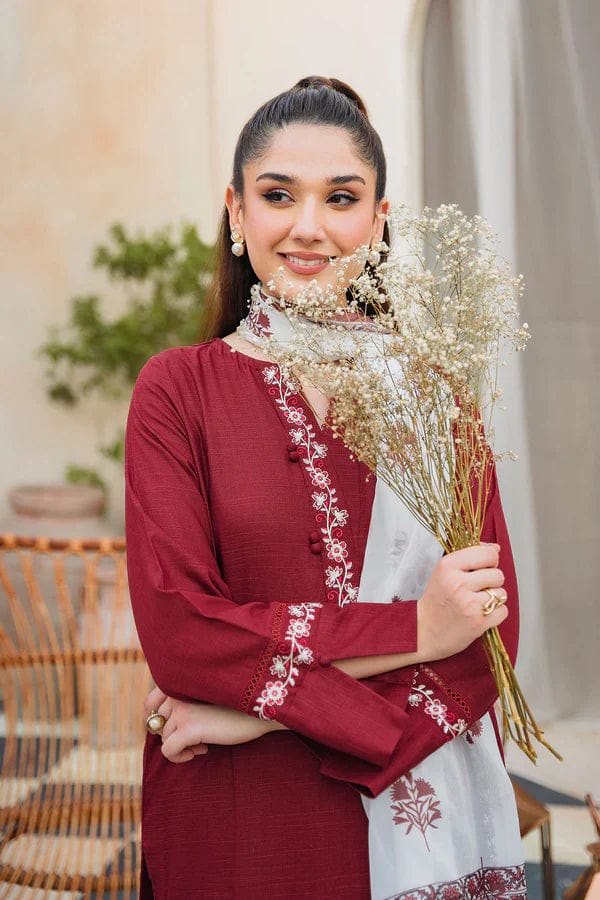 Ziva D # 119- 01| 3PC Luxury Dhanak | print twill Pashmina wool shawl